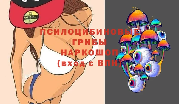 индика Бронницы